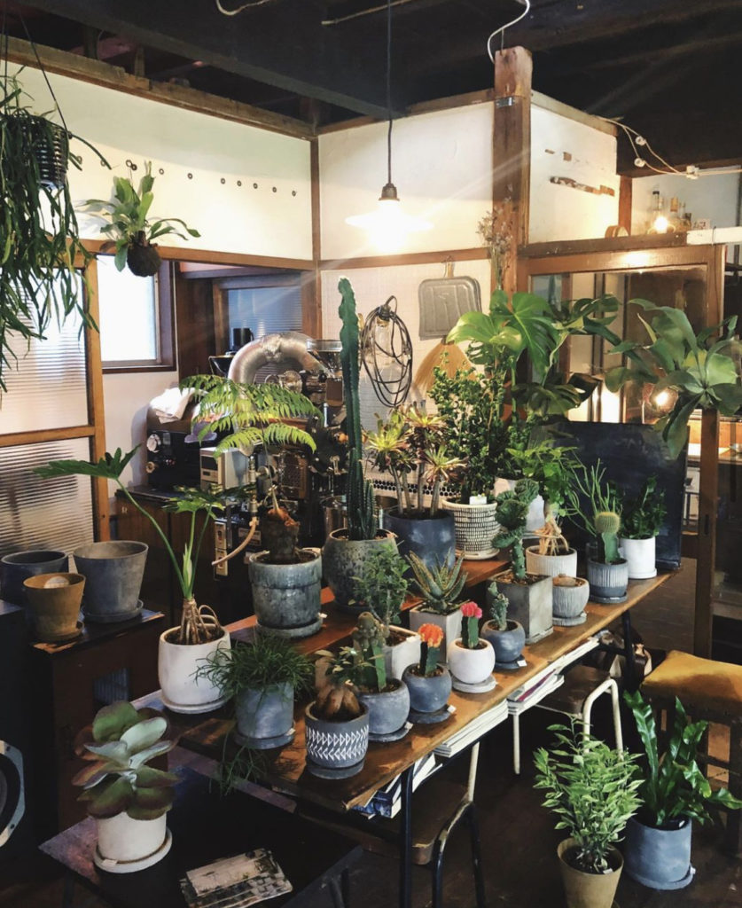 2019年 北千住でのPOPUP SHOP